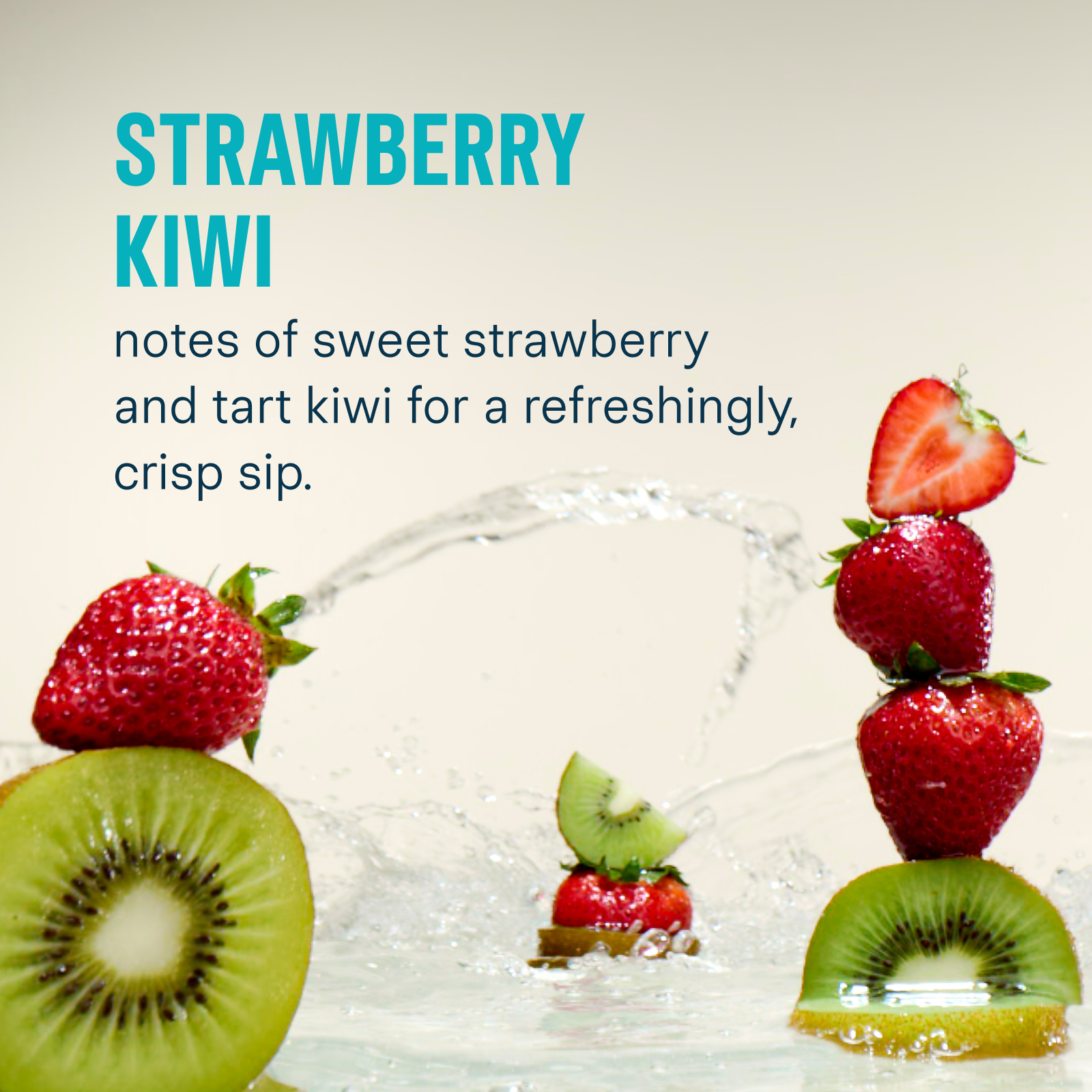 Sugar-Free Energy Fruity Bundle - Modern Travel Mix